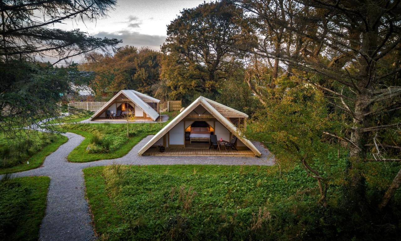 Killarney Glamping At The Grove, Suites And Lodges المظهر الخارجي الصورة