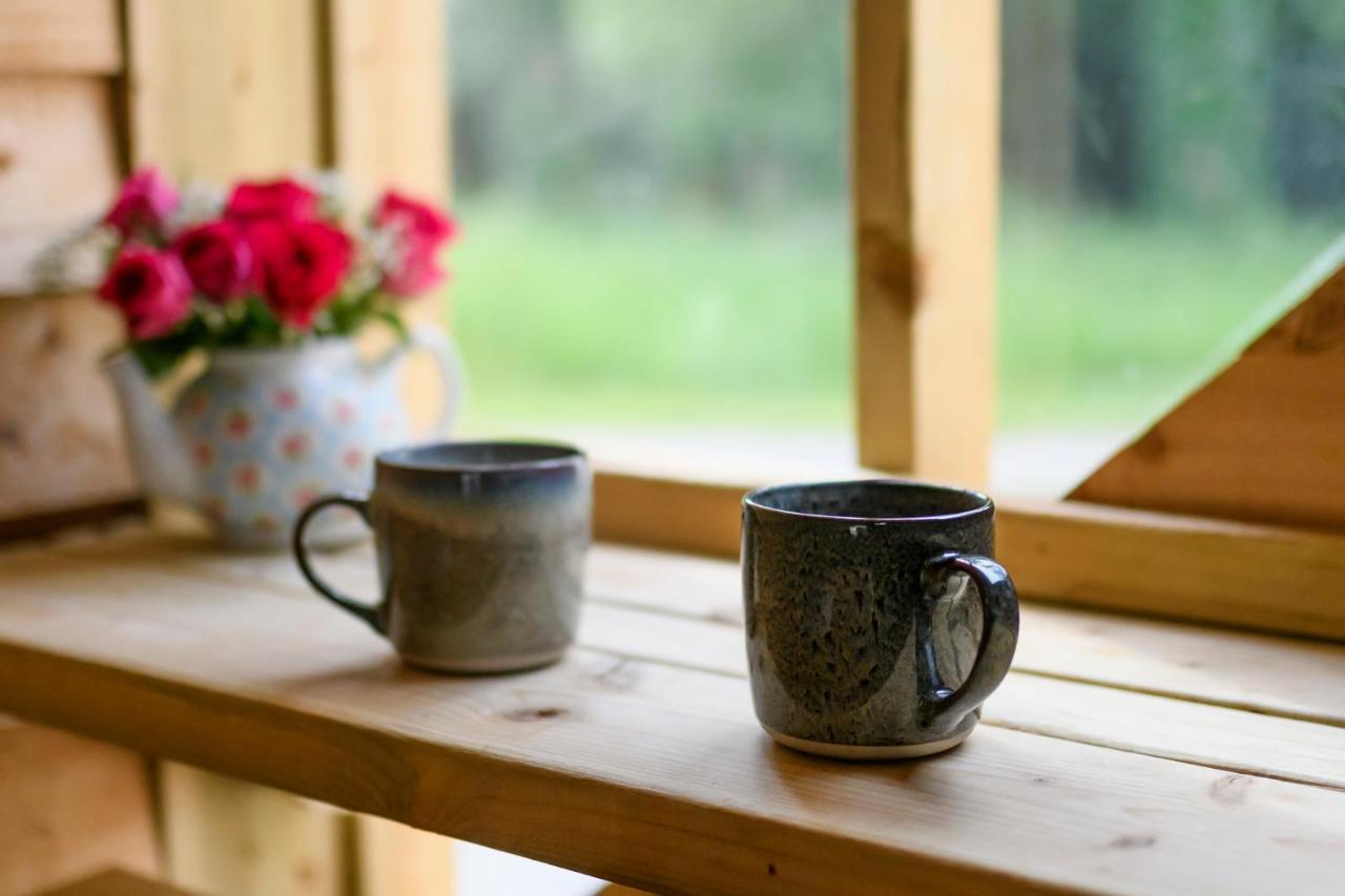 Killarney Glamping At The Grove, Suites And Lodges المظهر الخارجي الصورة