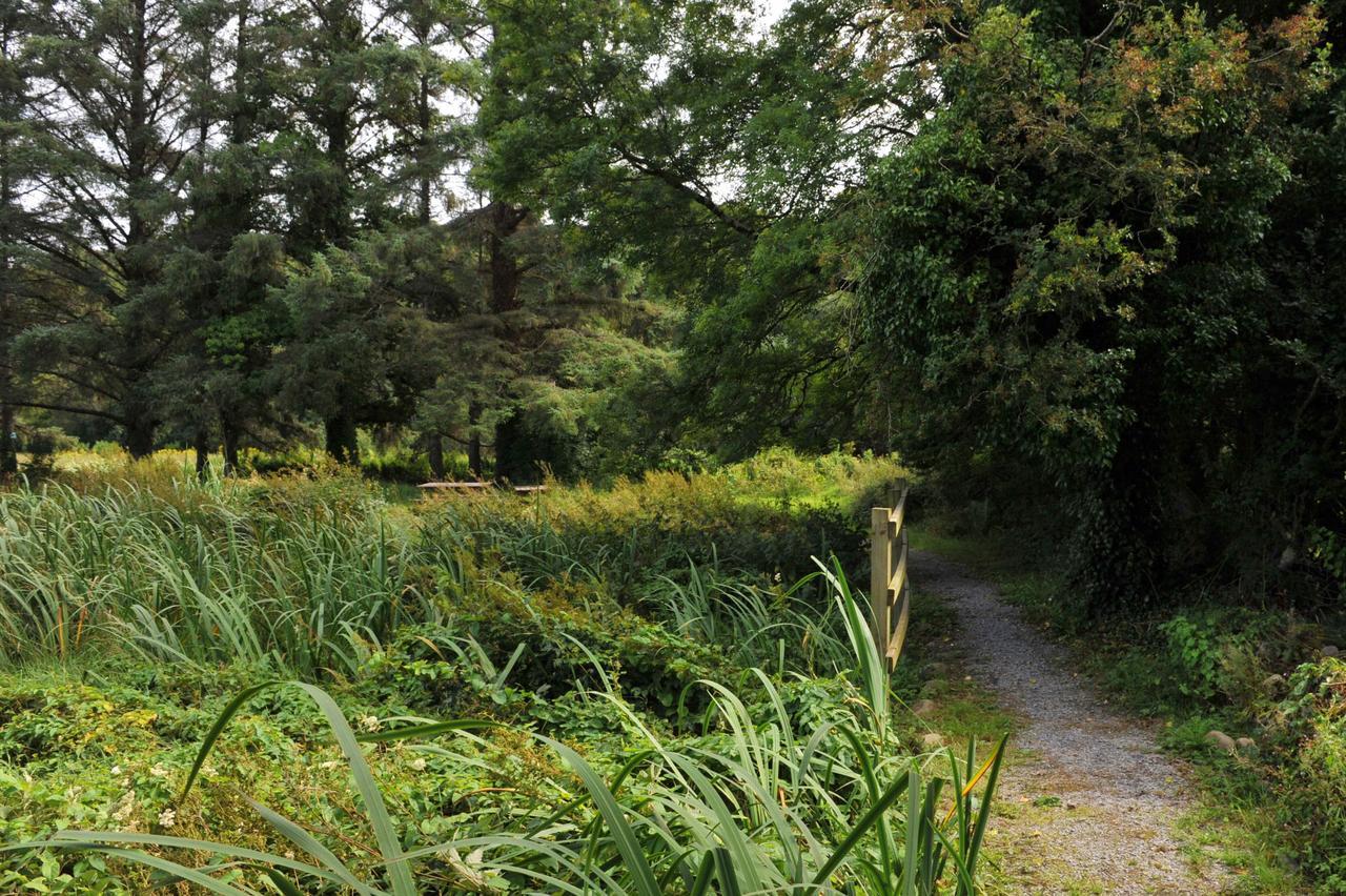 Killarney Glamping At The Grove, Suites And Lodges المظهر الخارجي الصورة