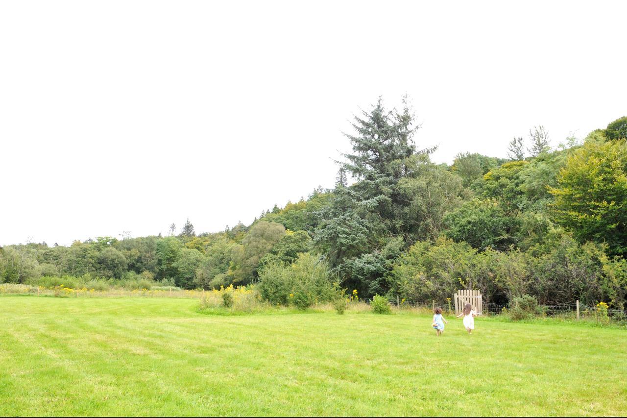 Killarney Glamping At The Grove, Suites And Lodges المظهر الخارجي الصورة