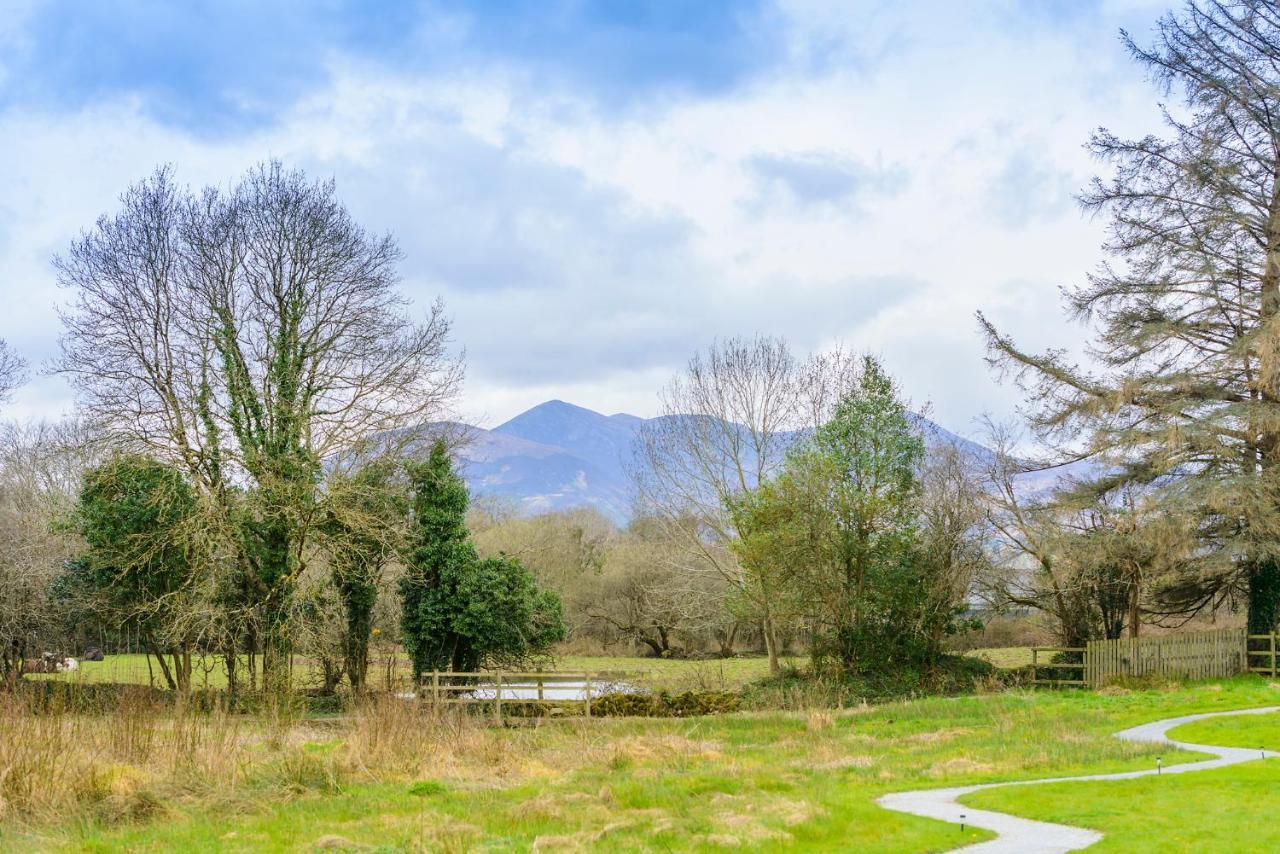Killarney Glamping At The Grove, Suites And Lodges المظهر الخارجي الصورة