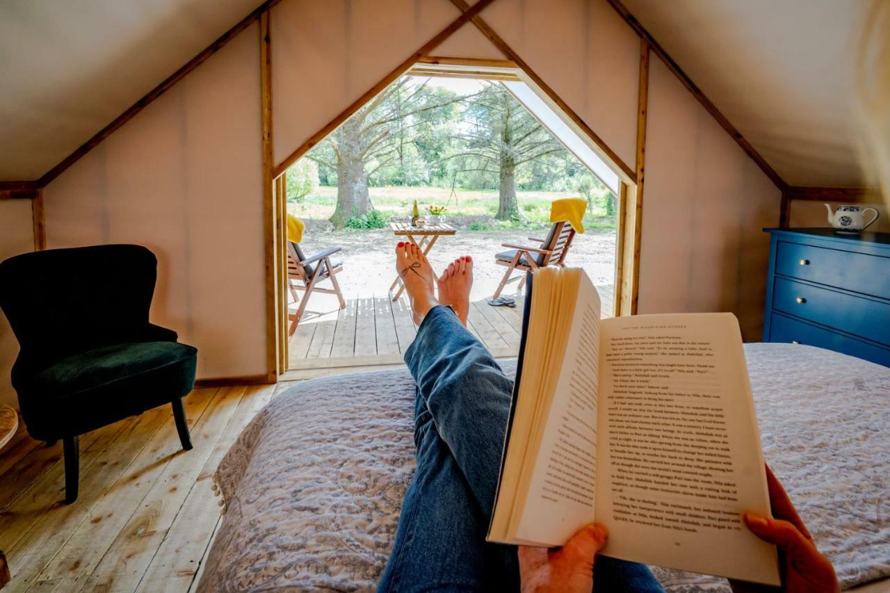 Killarney Glamping At The Grove, Suites And Lodges المظهر الخارجي الصورة