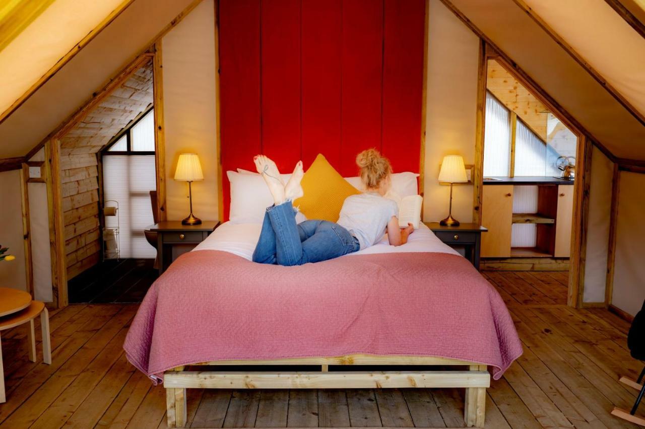 Killarney Glamping At The Grove, Suites And Lodges المظهر الخارجي الصورة
